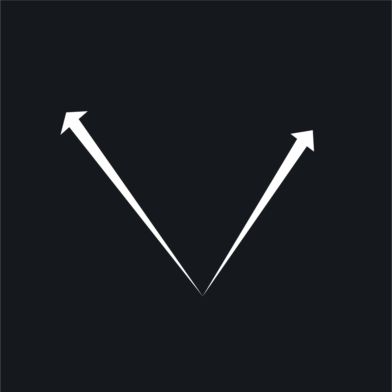 Vector